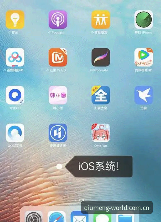 深度揭秘：球盟会APP中国区iOS下载对比，这些细节你可能从未注意